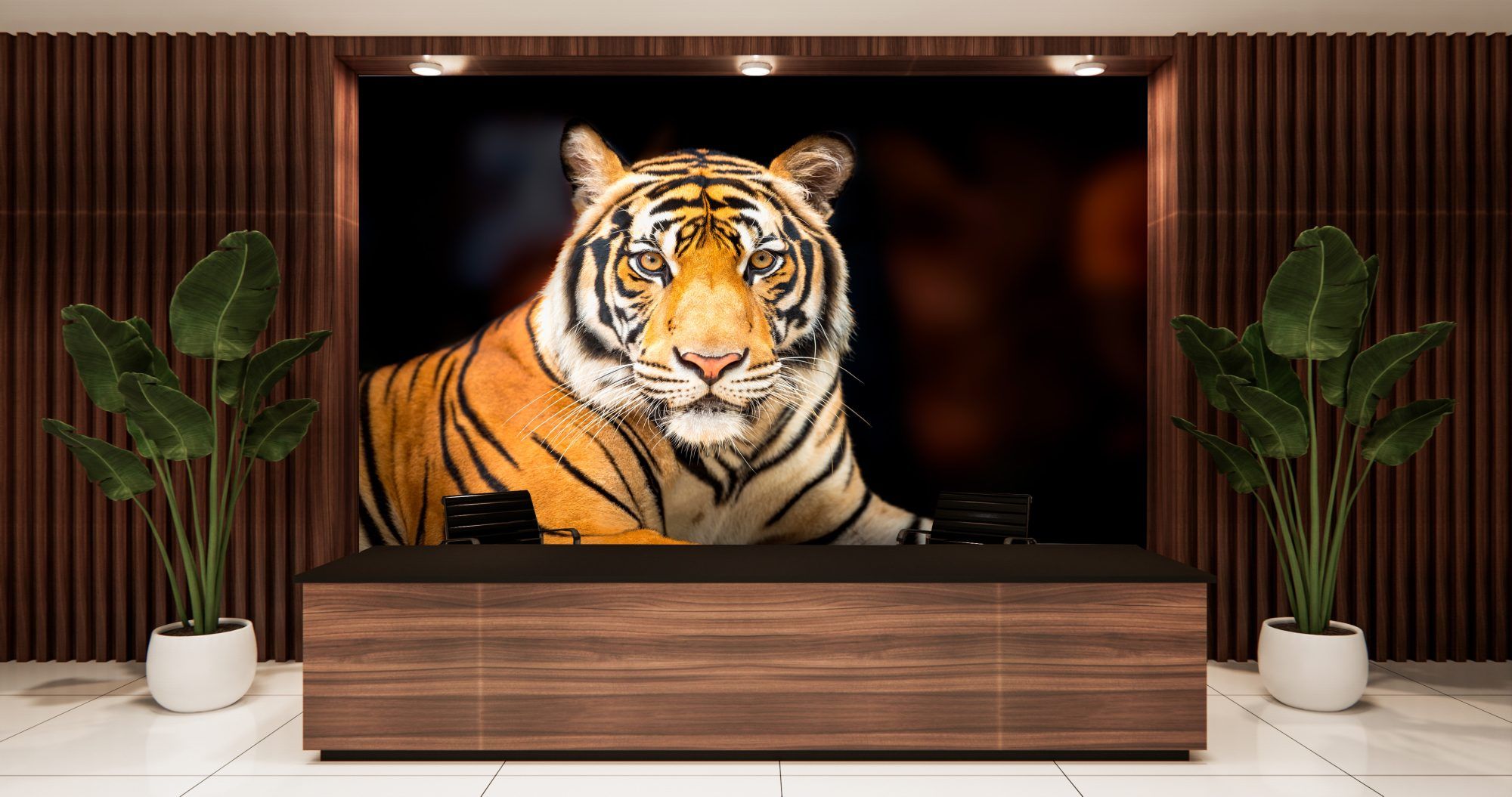 Fotobehang Tijger Portret op Donkere Achtergrond
