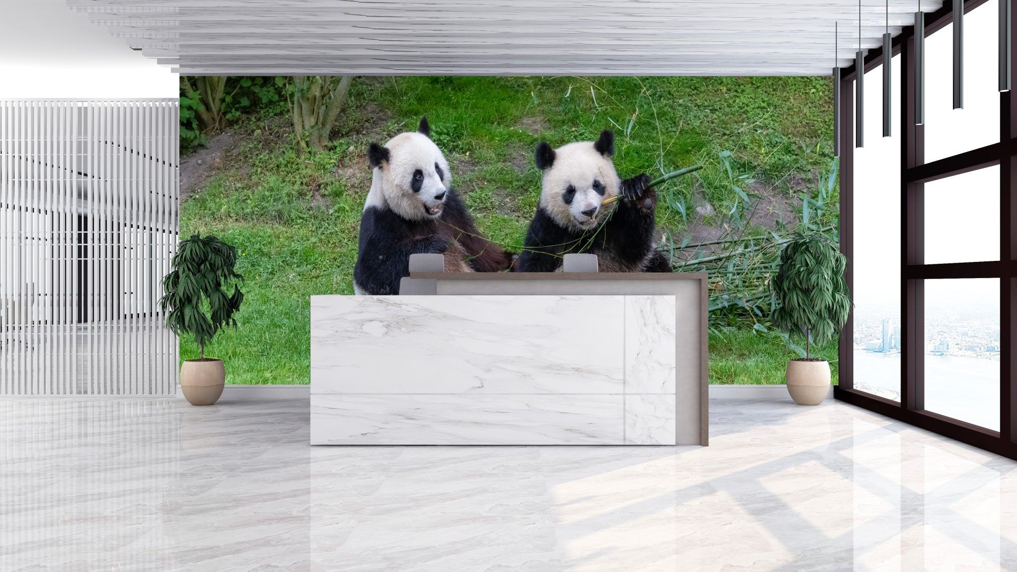 Fotobehang Twee Panda’s met Bamboe